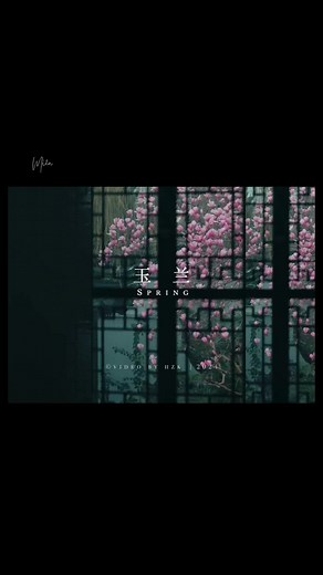 “Những lúc khó khăn nhất, bạn đừng suy nghĩ về tương lai quá xa xôi, chỉ cần động viên bản thân sống tốt mỗi ngày là được. Thế giới này có quá nhiều điều bất ngờ không thể đoán trước, có những chuyện hoàn toàn không đáng để chiếm trọn cảm xúc của bạn đâu. Cuộc sống vốn là một cuộc trải nghiệm thôi, cho nên, mong bạn hãy cứ thoải mái lên một chút.” #LearnOnTikTok #tiktokgiaitri #nhactrungquoc #nhactrung #lyrics #foryou #fyp #xh #miên