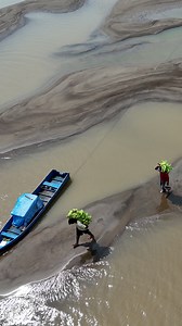 As extreme drought hits the Brazilian Amazon basin, parts of the river are barely navigable, leading the region's inhabitants to fear for their livelihoods. | DW News