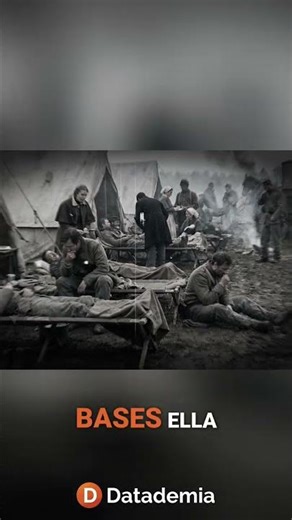 Florence Nightingale: The Power of Revolutionary Data Storytelling #shorts