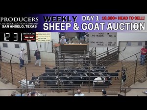 5/20/2025 - Sheep & Goat Auction - Producers Livestock Auction Company