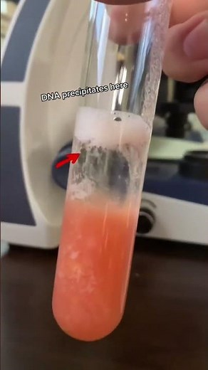 DNA Under Microscope 🔬🧬#microscope #science #microscopy