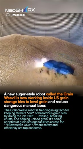 The **Grain Weevil** — an auger-propelled grain bin robot developed by Nebraska agtech startup **Grain Weevil** — is actively being used in grain storage facilities in the **United States** to improve safety and grain management. The Grain Weevil is designed to operate inside grain bins, performing tasks traditionally done manually by farmers such as **leveling stored grain**, **breaking up crusts and bridges**, and facilitating **unloading and grain quality maintenance**. Grain bins are known t