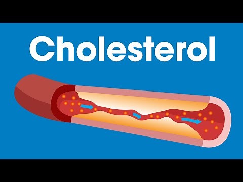 What Is Cholesterol? | Munson Minutes