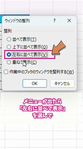 【Excel 初心者向け】シート切り替え不要！同じファイルを2画面で表示する裏ワザ #excel #仕事効率化 #excel初心者