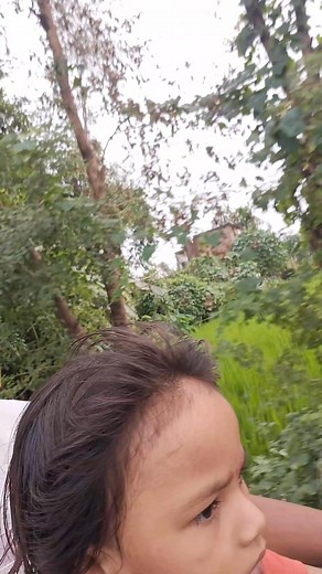 21 reactions | Durgesh Kumar Kumar on Reels | Facebook