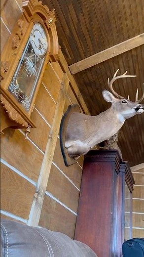 Tiny cabin/shed to house build 500sq ft #tinyhouse #tinycabin #diy #tinyliving #tinyhouselife