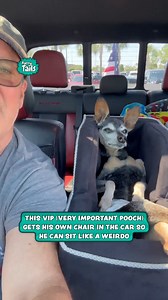 VIP dog 💅 | Furry Tails