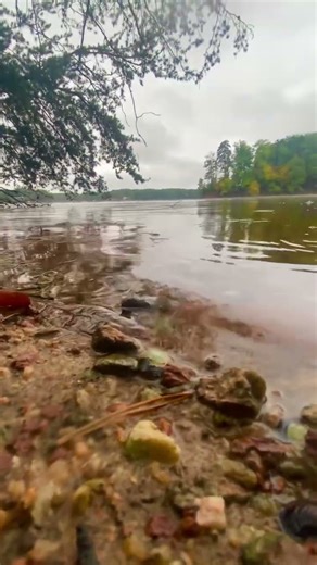 Ultimate Relaxing Music Mix - Stress Relief, Sleep, Spa, Meditation Music