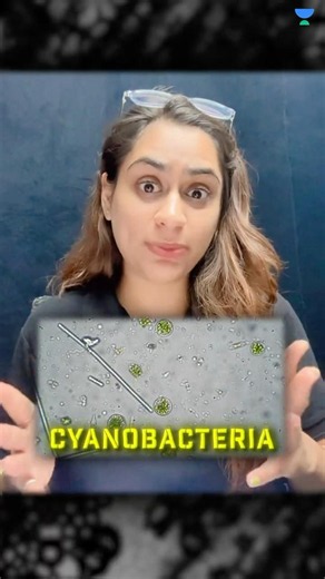 This Bacteria Can Make Its Own Food! 😱