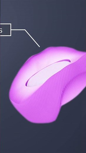 Anatomy of the Cervical Intervertebral Discs