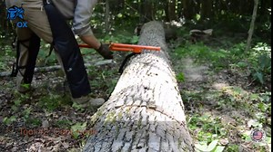 LogOX Forester Package - Includes 3-in-1 Forestry Multitool, Holster, Pickaroon & Gear Bag | Powder-Coated 40” Cant Hook Log Roller, 21” Carrier, and 40” Timberjack (USA Made with A Warranty)