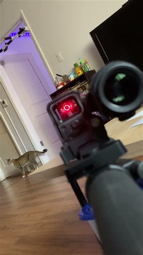 EOTech magnifier setup