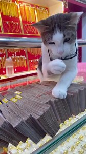 63K views · 729 reactions | My dream life in 2024: Be rich | The Idea King | Facebook