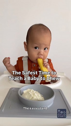 Solid Starts on Instagram: "Fact: The easiest and safest time to teach a baby to chew is between 6 and 8 months. Chewing requires a totally different motor pattern that a baby can’t learn from purees or pouches. Between six and eight months of age, baby has built in reflexes to move the food to the side of their mouth as well as reflexes for biting and chewing. These reflexes are going to fade as baby gets older. This is why we recommend introducing finger foods to your baby as soon as they are