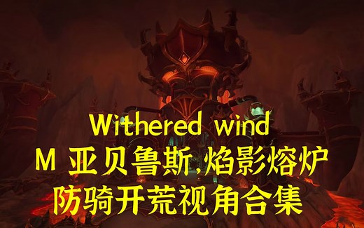 【4K超清】Withered Wind M亚贝鲁斯，焰影熔炉防骑视角合集[9/9M已完结 M9麟长萨卡雷斯已过！]