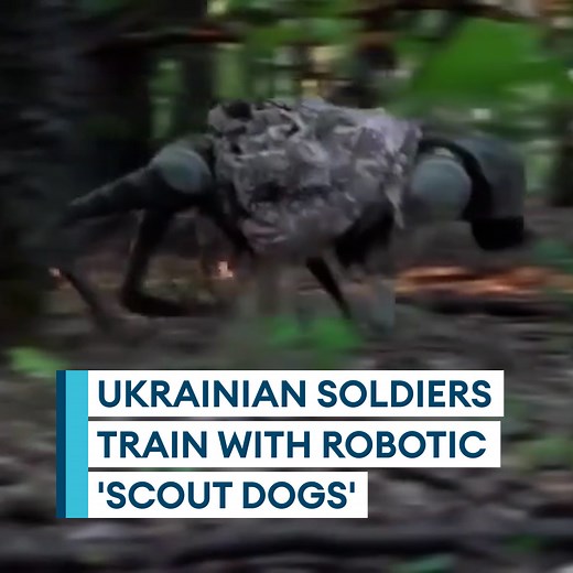 11K views · 205 reactions | This is how one of the Ukrainian military’s reconnaissance units trains with robotic ‘scout dogs’  The small robots can easily be camouflaged and hidden and their cameras record in real time  Watch here  | Forces News | Facebook