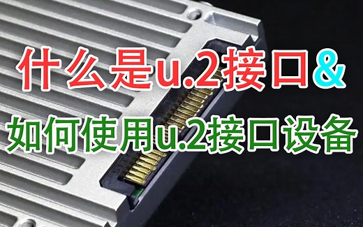 家用环境如何使用大船货硬盘——u.2接口简介&使用方法