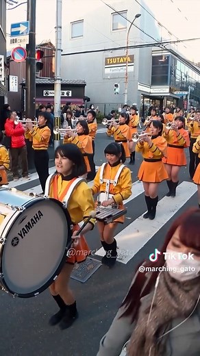 Kyoto Tachibana High School Marching Band Performance 2017