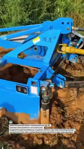 High-Speed Sweet Potato Harvester Machine 🚜 #FarmingTech #AgriMachinery #HarvestTime