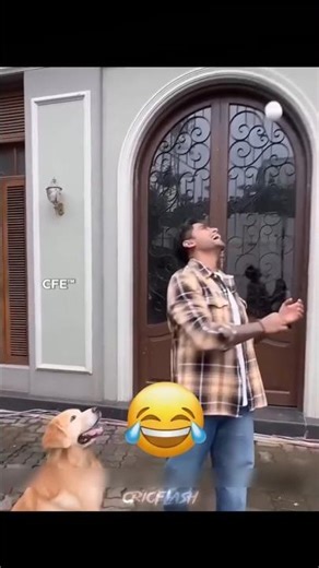 Surya's Dog GOES VIRAL: The ROAST OF THE CENTURY!