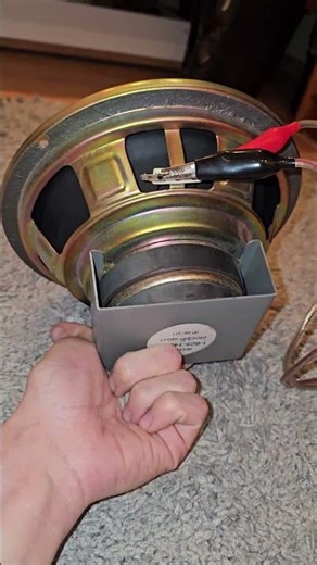 8" Sony Subwoofer excursion!