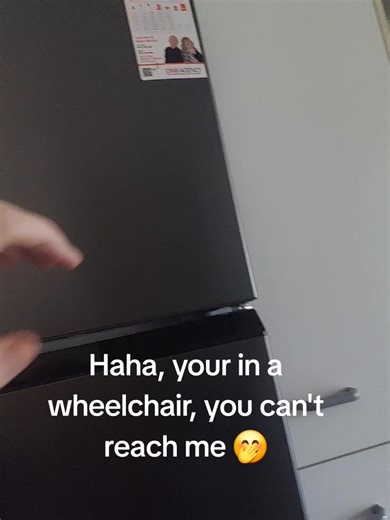 Aussie_Birds (@aussiebirds5)’s videos with sorry i can't hear you i'm kinda busy - life illustrated