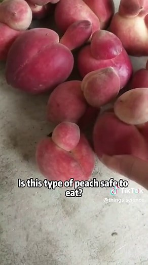 Understanding Different Types of Peaches