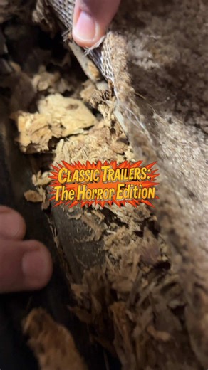What if we turned a day at Classic Trailers into a horror movie trailer Coming soon to a campground near you... 🍿🎬 Sometimes the workshop life feels like a thriller, so we decided to lean into the vibe. Just a normal day at Classic Trailers, but with a spooky twist. Don't let your RV maintenance become a real horror story — visit us for sales and service! 🛠️🚐