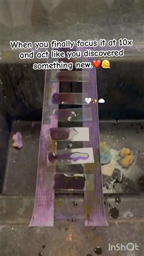 Peripheral blood smear slide focus 🤩👩‍⚕️#mbbs mbbs 1st year #aiims #neet2026 #motivation