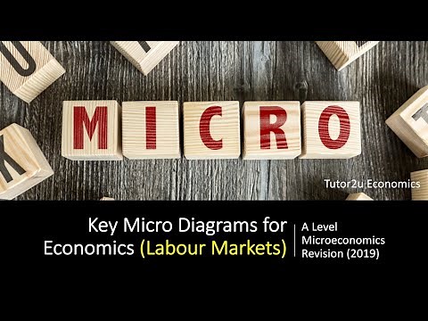 Key Micro Diagrams (Labour Markets)