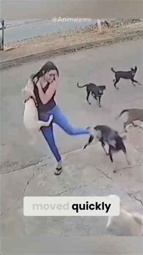 Brave Woman Saves Her Dog From Sudden Attack! 🐕⚠️