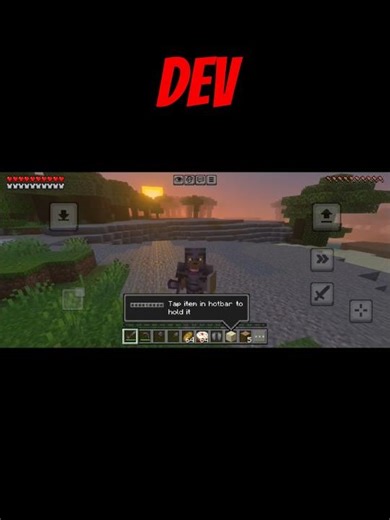 Minecraft. [ DEV ] #minecraft #gaming