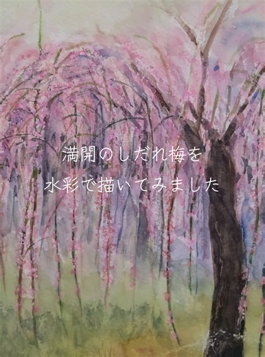 普光寺で見たしだれ梅のカーテンを水彩で描いてみました。うーん、なんかドレッドヘアーみたいになっちゃった🤣不透明も使いすぎて濁っちゃいました。。また挑戦しよっ #水彩#初心者 #梅
