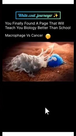3d animation of macrophages #biology #3danimation #immunesystem #shorts #educationviralshort