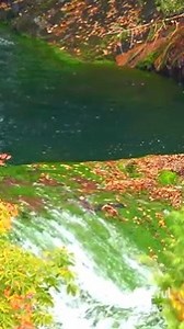 877K views · 155K reactions | Such a Peaceful & Beautiful Autumn!!! The beauty of Nature  | The beauty of Nature | Facebook