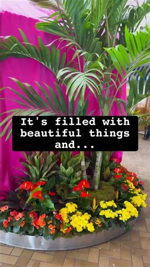 Circus + BEAUTIFUL flowers + almost Spring = perfection!!