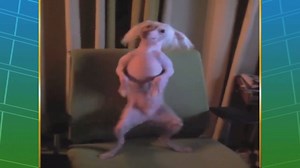 7K views · 165 reactions | Dogs Are The Greatest Creatures In The World. Awww So Lovely and Cute.. | Amazing Places on Earth | Facebook