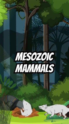 Mesozoic Mammals #evolution #paleontology #dinosaurs #mammals #fossils #jurassicworld