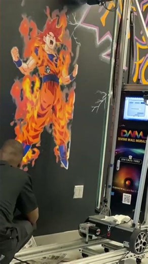 Divine Wall Murals Is Adding Ceiling Services To Their Business!