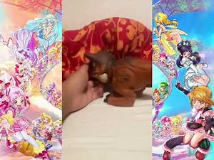 Bazanga understand what alien nackle say