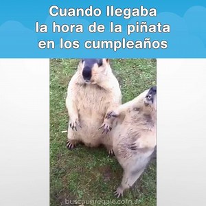 1.9M views · 41K shares | Porqué dejamos de hacer piñatas en los cumples?  . .  Me extraña araña objetos creativos  Aprovechá en nuestra web todos los productos con un 20%+15% de descuento ingresando el codigo de descuento "Liquidar" !  www.buscaunregalo.com.ar #MeExtrañaAraña #ObjetosCreativos #SeOriginal #Cuarentena | Me extraña araña objetos creativos | Facebook