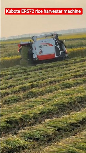 Kubota ER572 rice harvester machine 😱 #shorts #kisan #harvester