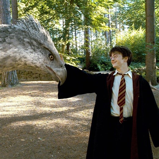 Accio to Expecto Patronum: All the Harry Potter spells muggle fans should know about