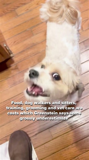 The costs of caring for a dog you shouldn't ignore