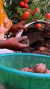 3.7M views · 24K reactions | Dian Creative on Reels | Facebook