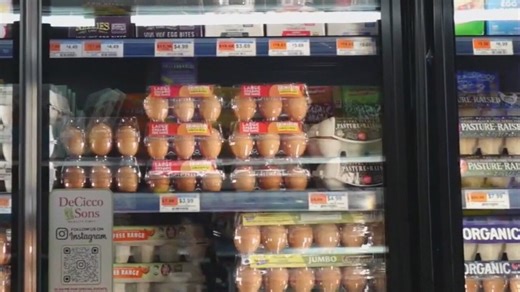 High egg prices under investigation by DOJ