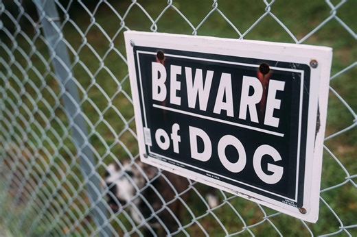 Ohio Senate votes to overhaul vicious dog laws following newspapers' investigation