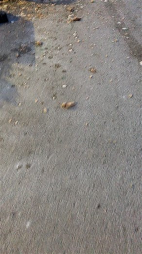 Cold Weather Causes Pop to Freeze and Explode in Chicago