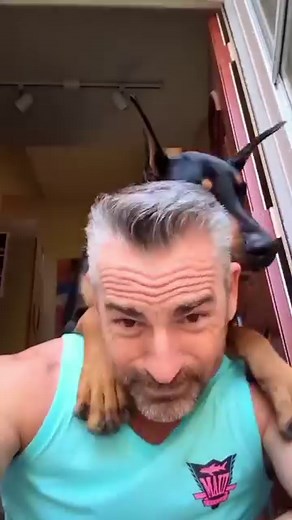 262K views · 39K reactions | Happy 1st Birthday to my little buddy Bruce! RDC Doberman Pinschers He came into our lives just when we needed him. He was definitely sent by Ruby. He will never replace her, but has a spot right next to her in our hearts! #doberman #brucethedoberman #rubydooby_do #dobermann | Rubydoobydo | Facebook