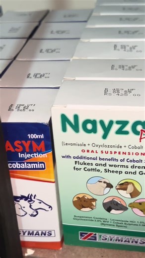 Effective Deworming for Your Pets